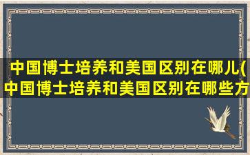 中国博士培养和美国区别在哪儿(中国博士培养和美国区别在哪些方面)