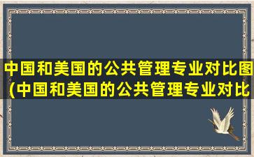 中国和美国的公共管理专业对比图(中国和美国的公共管理专业对比论文)