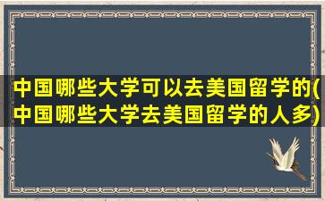 中国哪些大学可以去美国留学的(中国哪些大学去美国留学的人多)