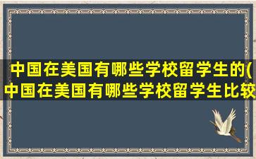 中国在美国有哪些学校留学生的(中国在美国有哪些学校留学生比较多)