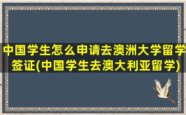 中国学生怎么申请去澳洲大学留学签证(中国学生去澳大利亚留学)