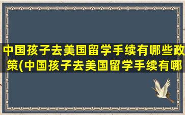 中国孩子去美国留学手续有哪些政策(中国孩子去美国留学手续有哪些好办理)