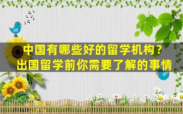 中国有哪些好的留学机构？出国留学前你需要了解的事情