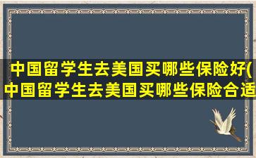 中国留学生去美国买哪些保险好(中国留学生去美国买哪些保险合适)