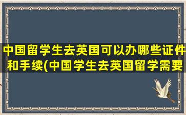 中国留学生去英国可以办哪些证件和手续(中国学生去英国留学需要什么条件-)