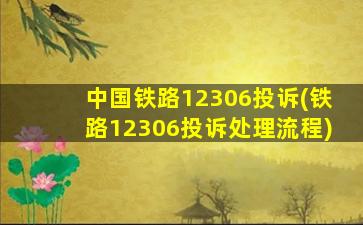 中国铁路12306投诉(铁路12306投诉处理流程)