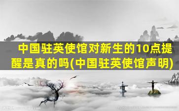 中国驻英使馆对新生的10点提醒是真的吗(中国驻英使馆声明)