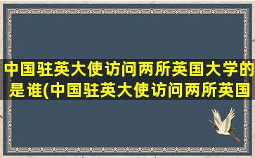 中国驻英大使访问两所英国大学的是谁(中国驻英大使访问两所英国大学的人是谁)