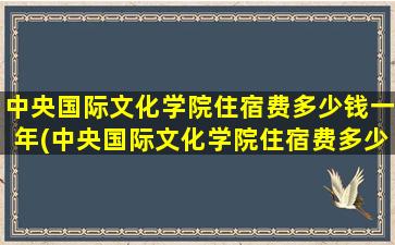 中央国际文化学院住宿费多少钱一年(中央国际文化学院住宿费多少钱一年)