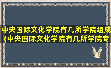 中央国际文化学院有几所学院组成(中央国际文化学院有几所学院专业)