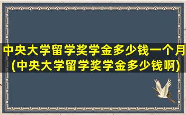 中央大学留学奖学金多少钱一个月(中央大学留学奖学金多少钱啊)