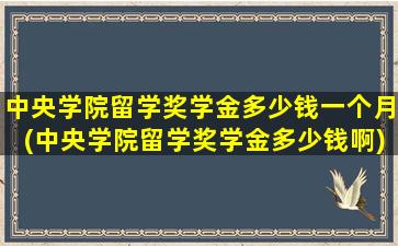 中央学院留学奖学金多少钱一个月(中央学院留学奖学金多少钱啊)