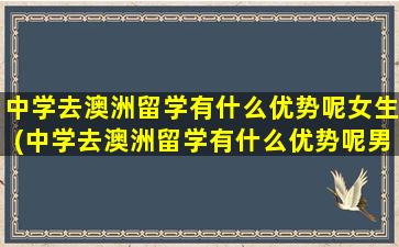 中学去澳洲留学有什么优势呢女生(中学去澳洲留学有什么优势呢男生)