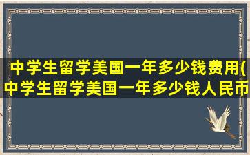 中学生留学美国一年多少钱费用(中学生留学美国一年多少钱人民币)