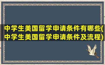 中学生美国留学申请条件有哪些(中学生美国留学申请条件及流程)