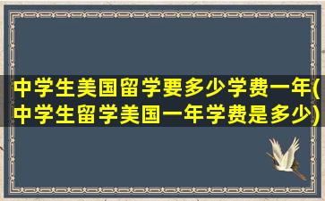 中学生美国留学要多少学费一年(中学生留学美国一年学费是多少)