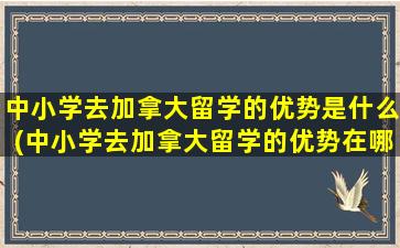 中小学去加拿大留学的优势是什么(中小学去加拿大留学的优势在哪)