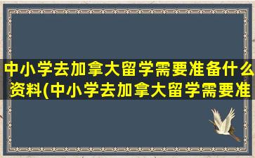 中小学去加拿大留学需要准备什么资料(中小学去加拿大留学需要准备什么东西)