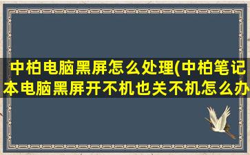 中柏电脑黑屏怎么处理(中柏笔记本电脑黑屏开不机也关不机怎么办)