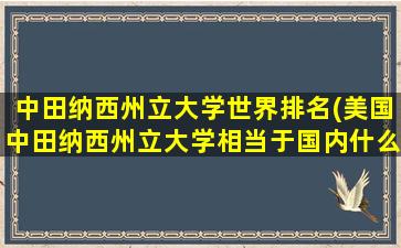 中田纳西州立大学世界排名(美国中田纳西州立大学相当于国内什么大学)