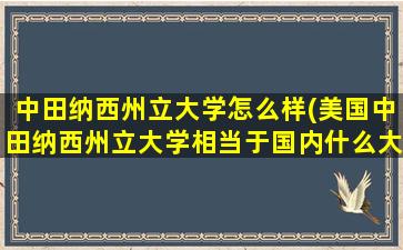 中田纳西州立大学怎么样(美国中田纳西州立大学相当于国内什么大学)