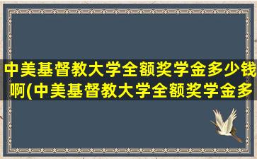 中美基督教大学全额奖学金多少钱啊(中美基督教大学全额奖学金多少钱一个月)