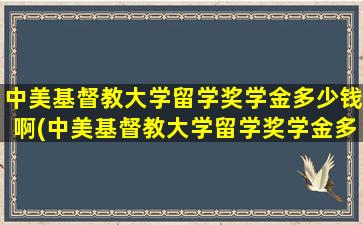 中美基督教大学留学奖学金多少钱啊(中美基督教大学留学奖学金多少钱一个月)