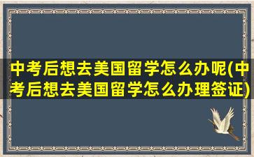 中考后想去美国留学怎么办呢(中考后想去美国留学怎么办理签证)