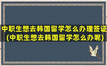 中职生想去韩国留学怎么办理签证(中职生想去韩国留学怎么办呢)