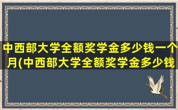 中西部大学全额奖学金多少钱一个月(中西部大学全额奖学金多少钱啊)