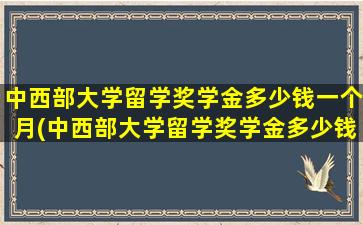 中西部大学留学奖学金多少钱一个月(中西部大学留学奖学金多少钱啊)