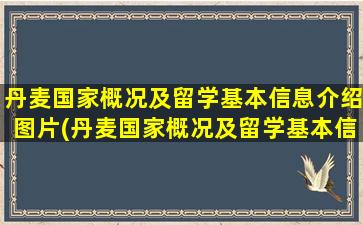 丹麦国家概况及留学基本信息介绍图片(丹麦国家概况及留学基本信息介绍英语)