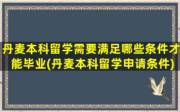 丹麦本科留学需要满足哪些条件才能毕业(丹麦本科留学申请条件)