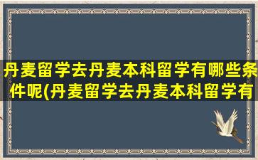 丹麦留学去丹麦本科留学有哪些条件呢(丹麦留学去丹麦本科留学有哪些条件和要求)