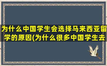 为什么中国学生会选择马来西亚留学的原因(为什么很多中国学生去马来西亚)