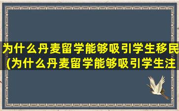 为什么丹麦留学能够吸引学生移民(为什么丹麦留学能够吸引学生注意)