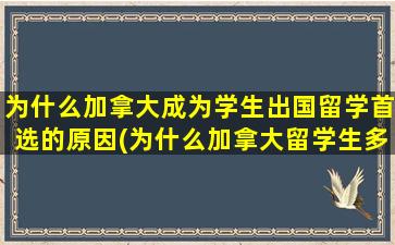 为什么加拿大成为学生出国留学首选的原因(为什么加拿大留学生多)