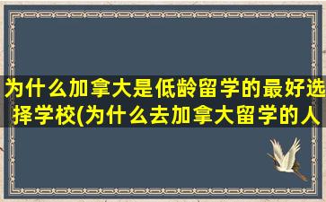 为什么加拿大是低龄留学的最好选择学校(为什么去加拿大留学的人少)