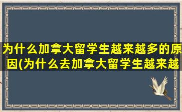 为什么加拿大留学生越来越多的原因(为什么去加拿大留学生越来越多)