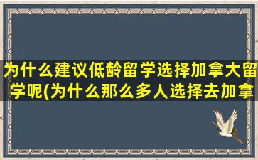 为什么建议低龄留学选择加拿大留学呢(为什么那么多人选择去加拿大留学-)