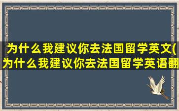 为什么我建议你去法国留学英文(为什么我建议你去法国留学英语翻译)