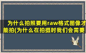 为什么拍照要用raw格式图像才能拍(为什么在拍摄时我们会需要拍摄raw格式)