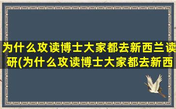 为什么攻读博士大家都去新西兰读研(为什么攻读博士大家都去新西兰工作)