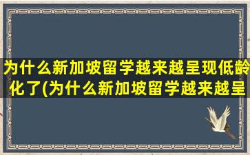 为什么新加坡留学越来越呈现低龄化了(为什么新加坡留学越来越呈现低龄化现象)