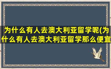 为什么有人去澳大利亚留学呢(为什么有人去澳大利亚留学那么便宜)