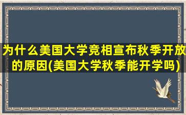 为什么美国大学竞相宣布秋季开放的原因(美国大学秋季能开学吗)