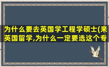 为什么要去英国学工程学硕士(来英国留学,为什么一定要选这个专业)