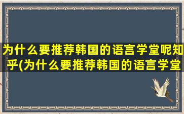 为什么要推荐韩国的语言学堂呢知乎(为什么要推荐韩国的语言学堂呢英文)