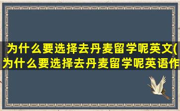 为什么要选择去丹麦留学呢英文(为什么要选择去丹麦留学呢英语作文)