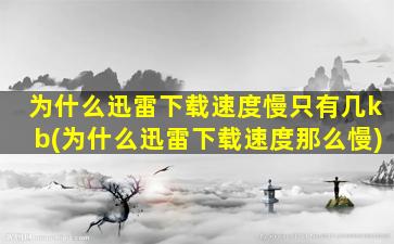 为什么迅雷下载速度慢只有几kb(为什么迅雷下载速度那么慢)